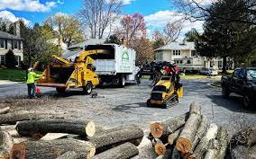 Best Hazardous Tree Removal  in South Fulton, TN