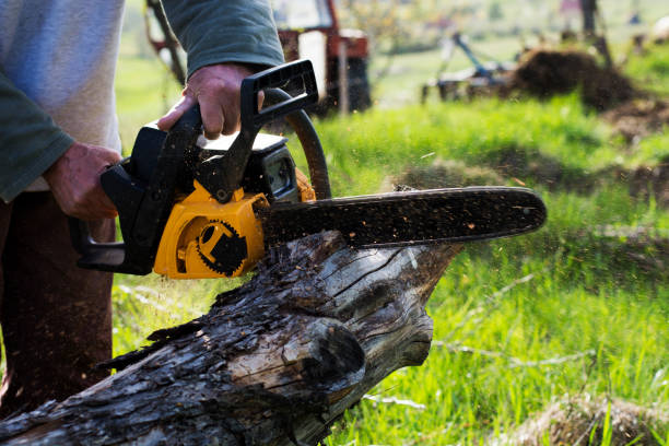 Best Firewood Processing and Delivery  in South Fulton, TN